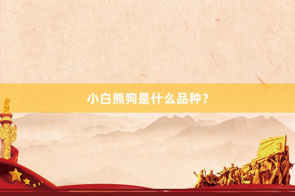 小白熊狗是什么品种？